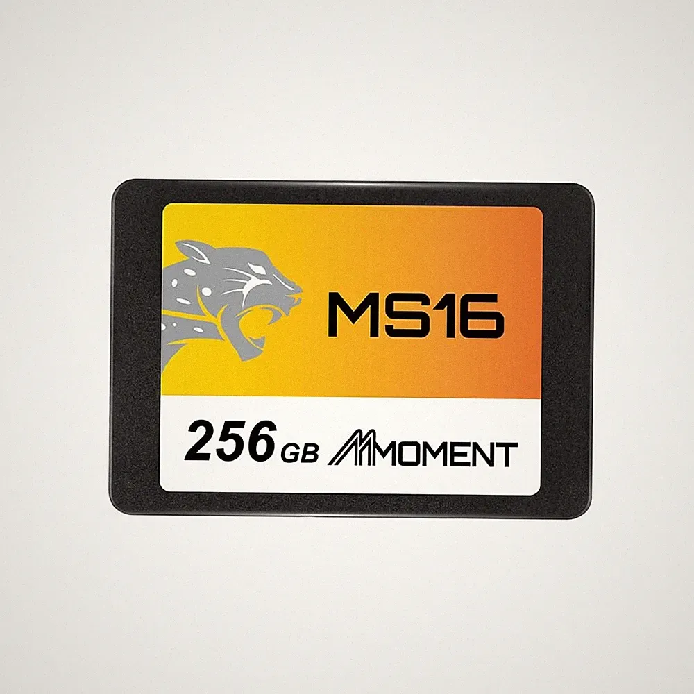 MS16 256GB 2.5 Inch SATA III 6 GB/s Internal Solid State Drive SSD (Read up t...