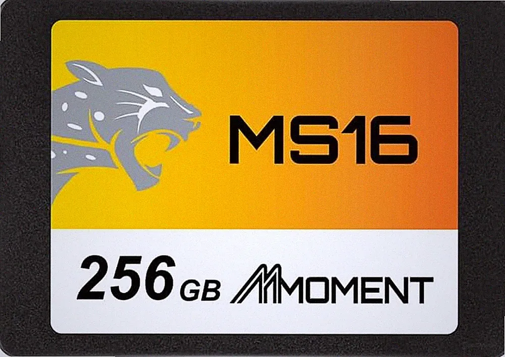 MS16 256GB 2.5 Inch SATA III 6 Gb/S Internal Solid State Drive SSD (Read up to 5