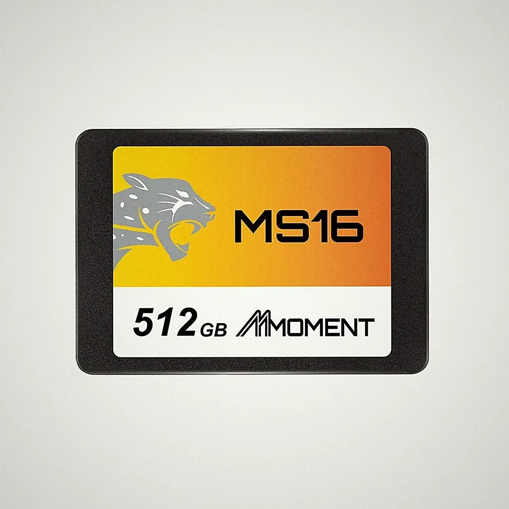 MS16 512GB 2.5 Inch SATA III 6 GB/s Internal Solid State Drive SSD (Read up to 5